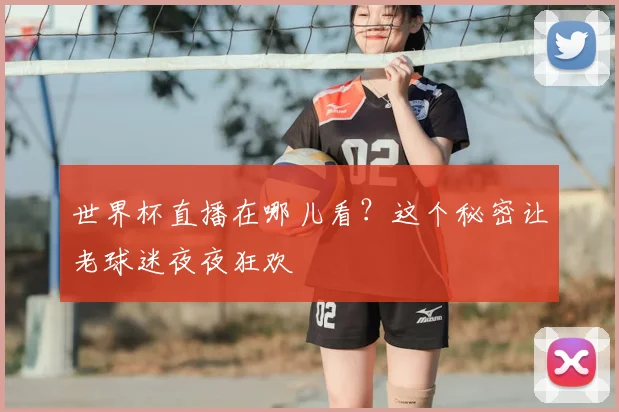 世界杯直播在哪儿看？这个秘密让老球迷夜夜狂欢